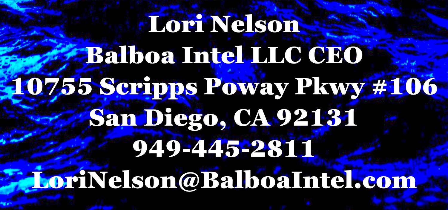 Balboa Intel LLC contact information